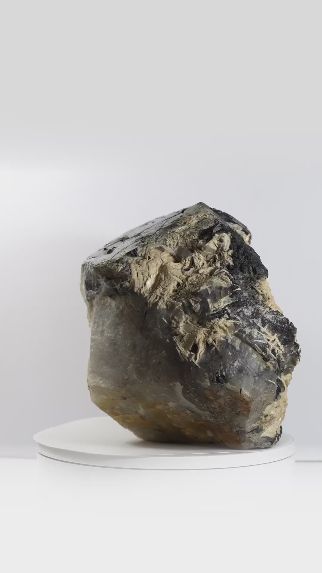 Espécimen Merkaba Jacaré turmalina negra con Golden Healer